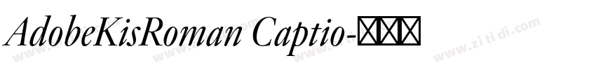 AdobeKisRoman Captio字体转换